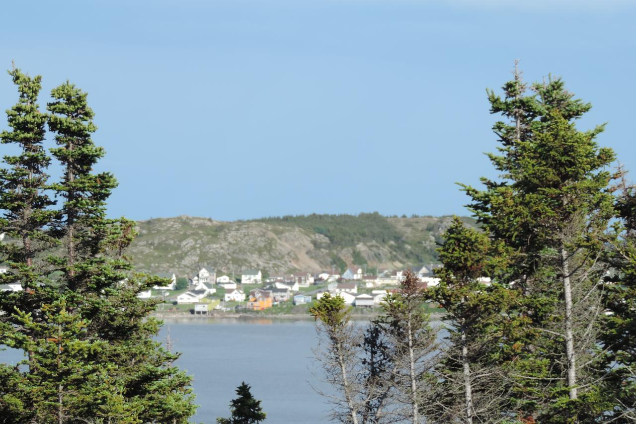 North 99 Twillingate